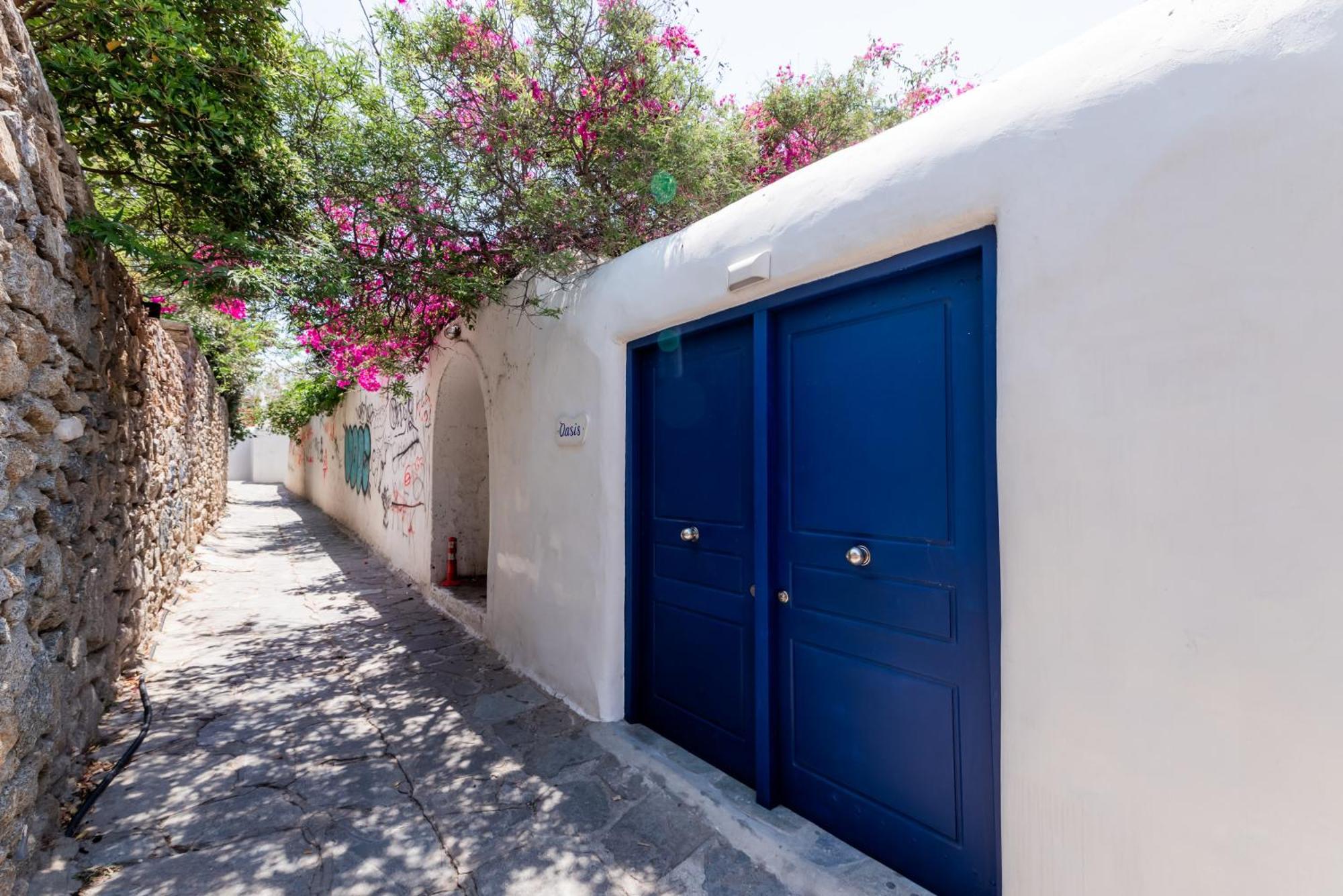 Olive Tree Mykonos Town Semi-Basement Apartment ภายนอก รูปภาพ